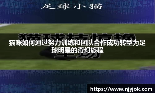 猫咪如何通过努力训练和团队合作成功转型为足球明星的奇幻旅程